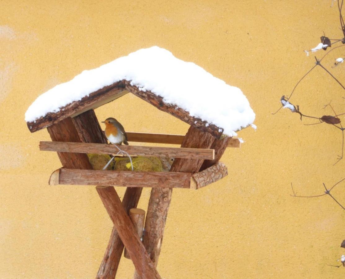 Le Chant Des Oiseaux - Au Pied De La Voie Cyclable Crevechamps Ngoại thất bức ảnh